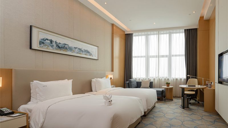 户外探险夏令营，孩子成长之旅的五大步骤揭秘